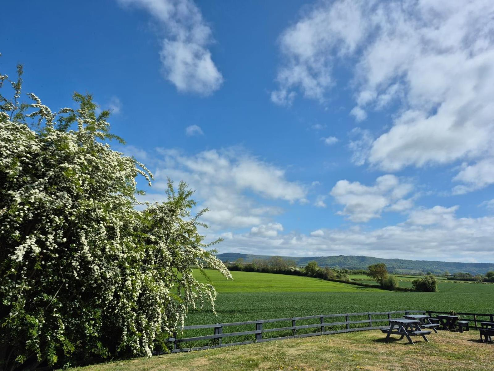 The White Horse Lodge Hotel Thirsk Eksteriør bilde